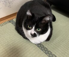 あなたの話を聞きます イメージ1