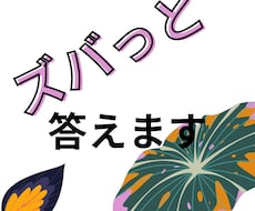 詳細不要！ズバっと答えます イメージ1