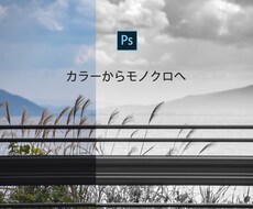 写真を表情豊かなモノクロ写真に仕上げます イメージ1
