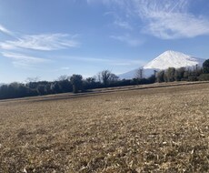 写真素材提供します イメージ1