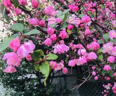 ちょっとしたお話や悩みも聞きます イメージ1