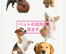 アニマルコミニケーションでペットちゃんの声届けます イメージ1