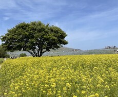 仕事、家族...その人間関係の悩みを解き明かします イメージ1