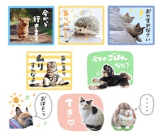 ペットのLINEスタンプ8個作ります ／犬、猫、小動物や爬虫類もOKです！