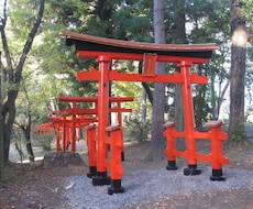 東京都内最強クラスの神社へ代理参拝致します 願望成就を最速で達成させたい方へ