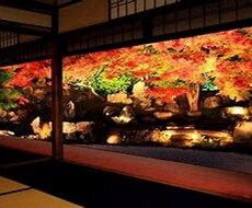 プロの占い師が占います！霊感や霊視致します 気になるあの人への想いをお届け！