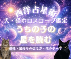 うちのコの占星術　犬猫ちゃんホロスコープ鑑定します 個性・気持ちの伝え方・魂のテーマ・飼い主さんとの魂のご縁