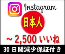 インスタ日本人アカウントが100いいね増加します イメージ1