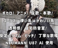 防音スタジオ完備、仮歌本歌を高品質でお届けします イメージ1
