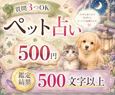 ワンコイン占い✨ペットちゃんのお気持ちお届けします 質問3つまでOK♪あの子が伝えたい想いをリーディングします