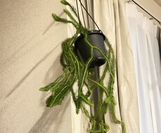 健康相談｜無理なく続く生活習慣を一緒に見つけます イメージ1