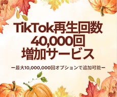 TikTok再生回数増やします イメージ1