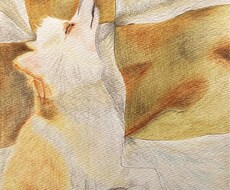 ペットや動物を色鉛筆でリアルに描きます イメージ1