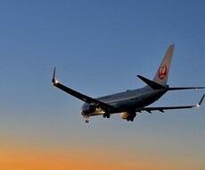 自然・食べ物等の写真を提供、代行させていただきます イメージ1