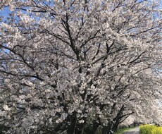 どんなことでもお聞きします イメージ1