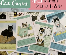 おネコさまのお導きを引きまます イメージ1