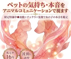 ペットの気持ちをアニマルコミュニケーションで視ます イメージ1