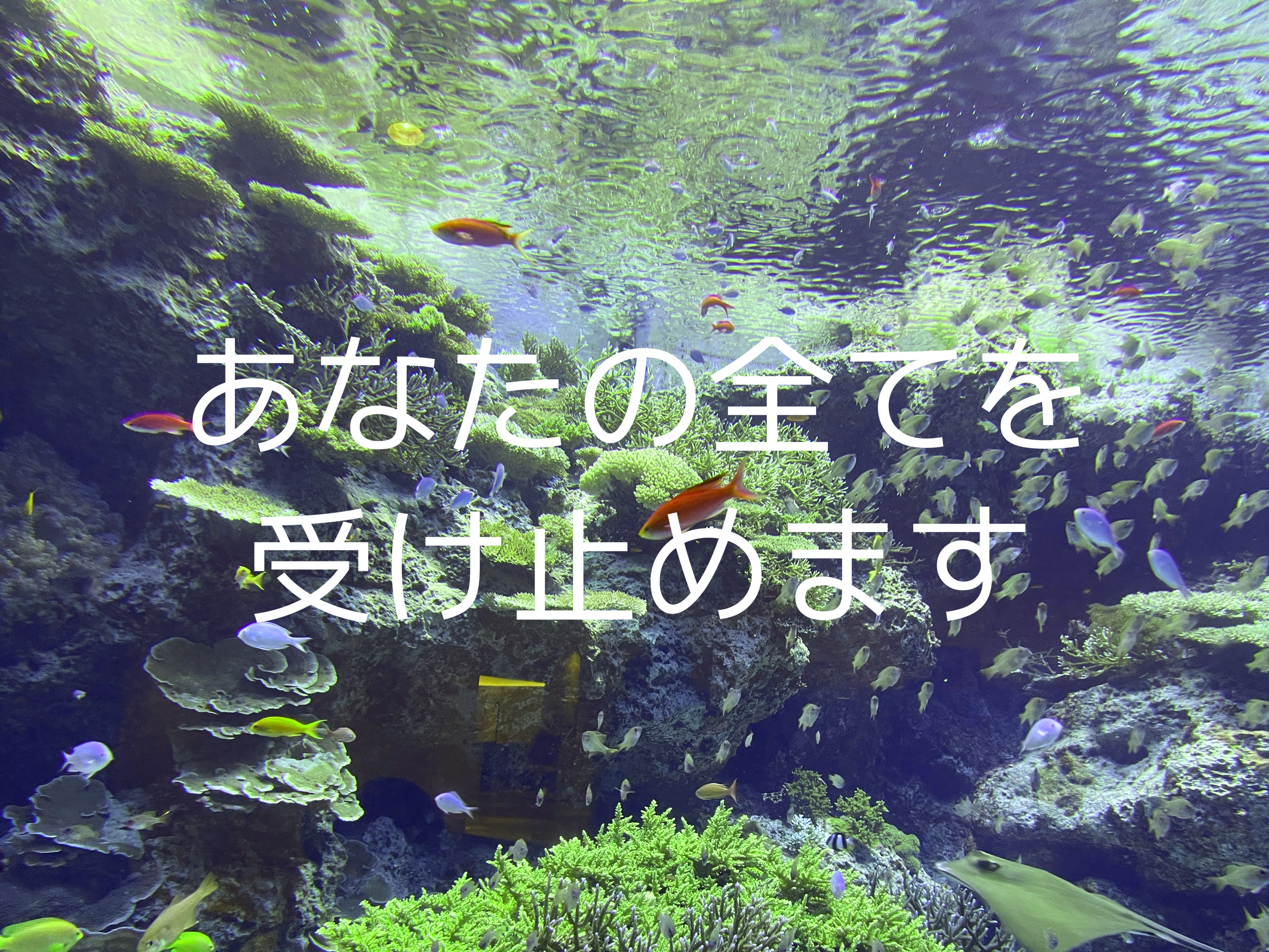 あなたの溜まりに溜まった愚痴、悩み全て聞きます イメージ1