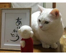介護・看取りの不安、電話で聴きます