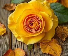 あなたのお悩み、優しい愛で受け止めます あなたのお悩みを言葉にしてみませんか？真摯に受け止めます！！