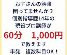 1問からOK!指導歴14年の現役プロ講師が教えます 京都大学・大学院修了｜中高生対象・単発・複数科目OK