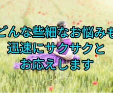 どんな些細なお悩みも迅速にサクサクとお応えします イメージ1
