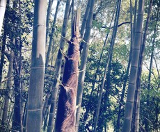 どんな話でも、全力で受け止めます イメージ1
