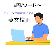 英文の校正をします イメージ1