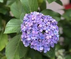 ワンコインで3日間！あなたのお話相手になります イメージ1