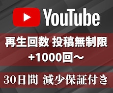 30日間再生回数1000回～増やします 1000回増加★YouTube投稿回数無制限★毎日可★