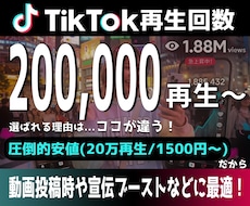 TikTok再生+200,000回増やします イメージ1