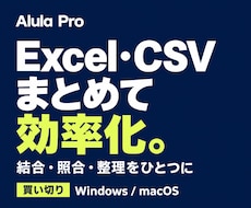 Excel・CSV作業効率化PCアプリを提供します イメージ1