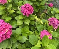 ワンコイン鑑定　リピーター様専用　恋愛全般占います スピリチュアル、霊感タロット占い✨