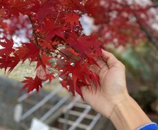 愚痴や悩みをお聞きします イメージ1