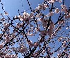 初回10分無料！秘密厳守。どんな話でも受け止ます イメージ1