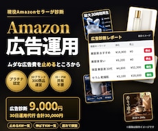 Amazon広告のムダを診断し運用代行します 止めるKW・伸ばすKWを一覧で提出｜ID・パスワード共有不要