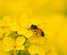 管理栄養士が食事の栄養価計算をします イメージ1