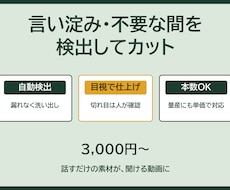 動画の言い淀み・不要な間をカットします イメージ1