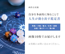 世界にひとつだけの取扱説明書をお届けします 3日以内｜西洋占星術｜プレミアム鑑定