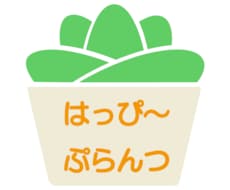 多肉植物メインの観葉植物の管理の方アドバイスします イメージ1