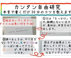 自由研究カンタン30分でできる方法おしえます イメージ1
