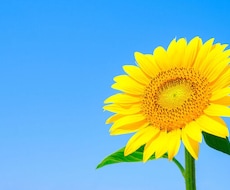 お盆限定 福運上昇ご祈祷します 8月16日まで限定セッション、ご先祖さまへ感謝の気持ちを