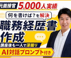 面接5,000人の元人事が職務経歴書作成を支えます イメージ1