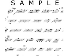 音源からの採譜や移調譜面などを作成します 譜面に関する事お任せください、手書き譜面の浄書も行います。
