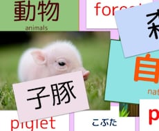 子どもの脳開発高速フラッシュカードを公開します 大量記憶ビデオファイルで親子の楽しみ&優秀脳の土台ができます