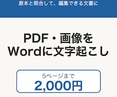 PDF・画像を5枚2千円でWordに起こします イメージ1