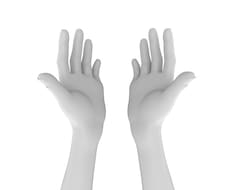 手相を占います 手相で気になるあなたの運勢をばっちり占います。
