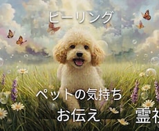 ペット気持ちを霊視します イメージ1
