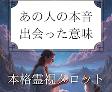 初回限定価格　運命を暴くタロット　彼の本音占います イメージ1
