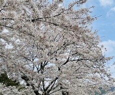中学受験算数の問題解答作成やります イメージ1